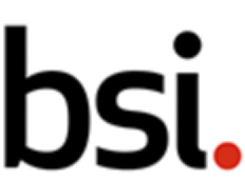 英國標(biāo)準(zhǔn)協(xié)會 (BSI)